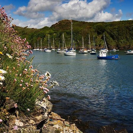 Caleb'S Cottage - 4 Bedroom Cottage - Solva Bagian luar foto